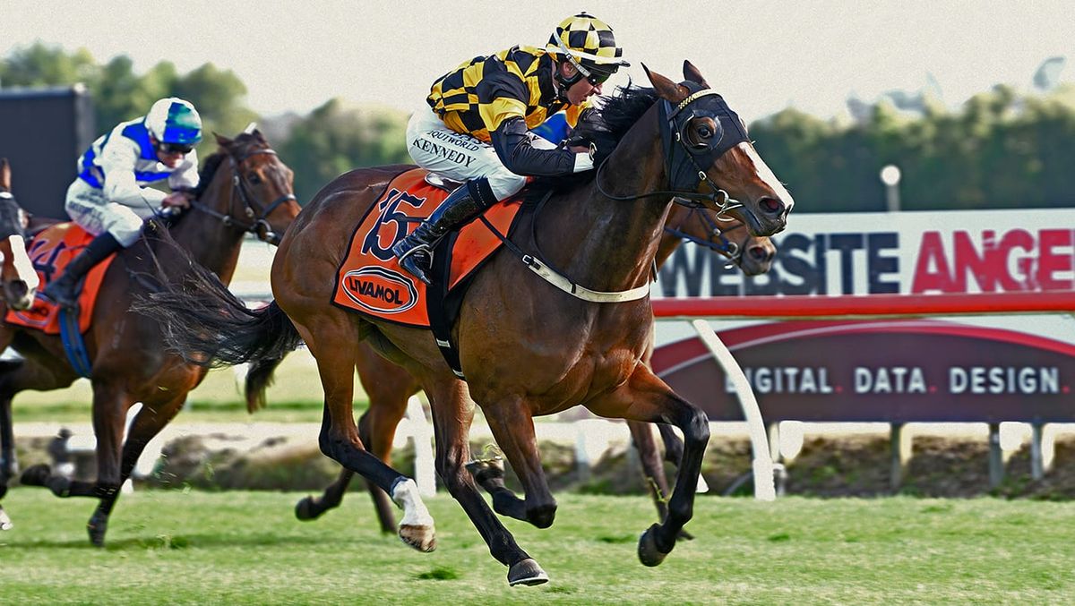 Snazzytavi Seeks More Group Success