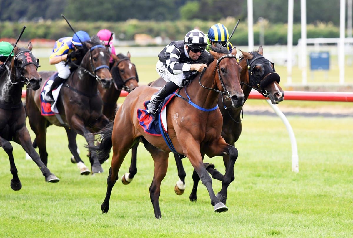 Komocean Cruises to Victory at Trentham