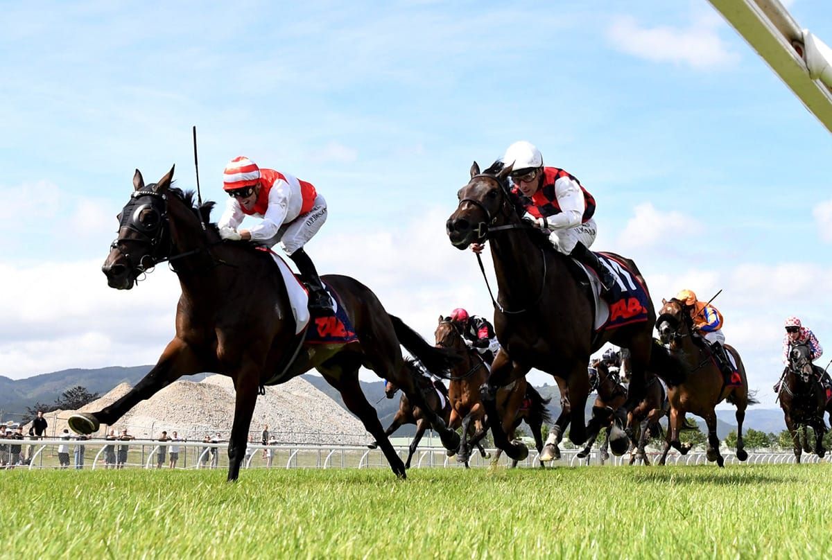 Bosson masterclass lands second Group One for Ladies Man