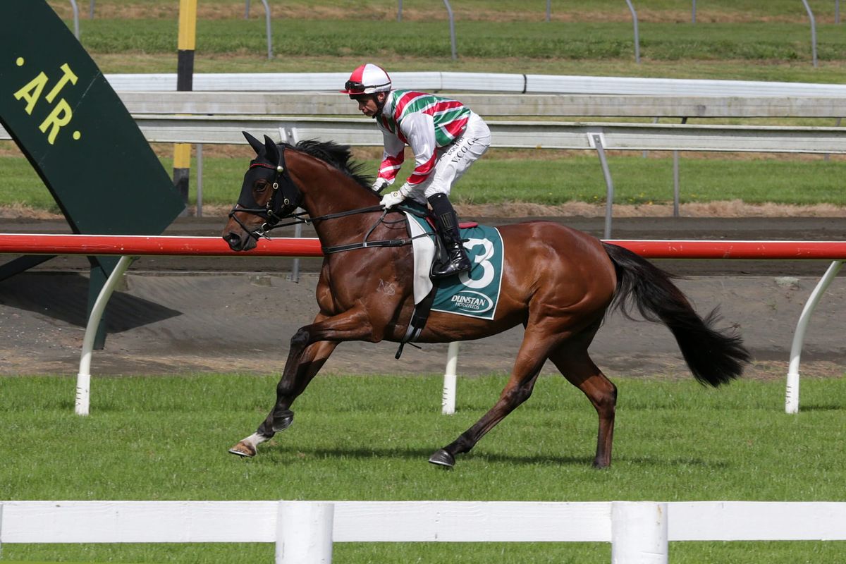 Luxury impost for highly-rated mare
