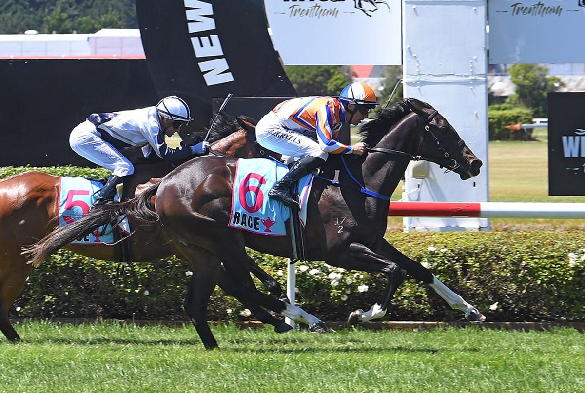 Te Akau hold strong hand at Trentham