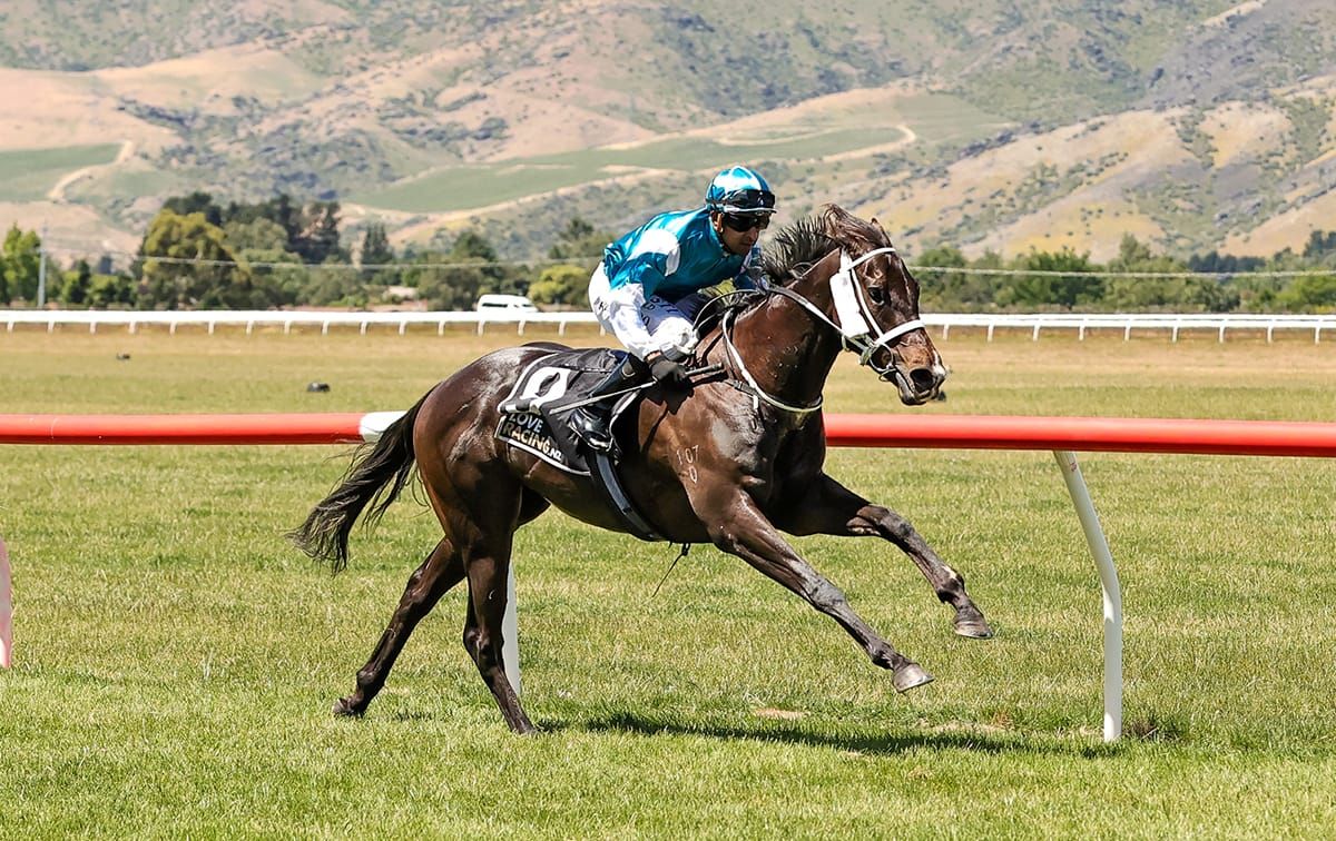 Perfect start to summer for Turner