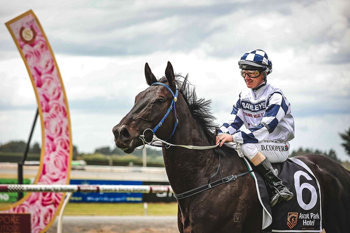 Four timer for Cooper at Ascot Park