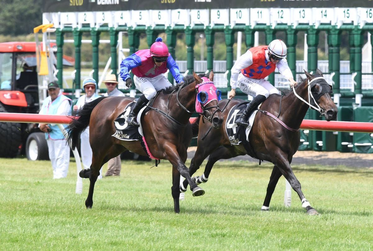 Opawa Jack tops double for Bambry