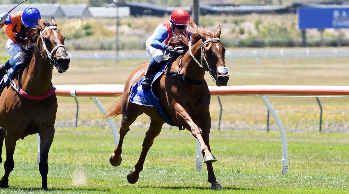 Kurow Cup victory paves way for Trentham trip