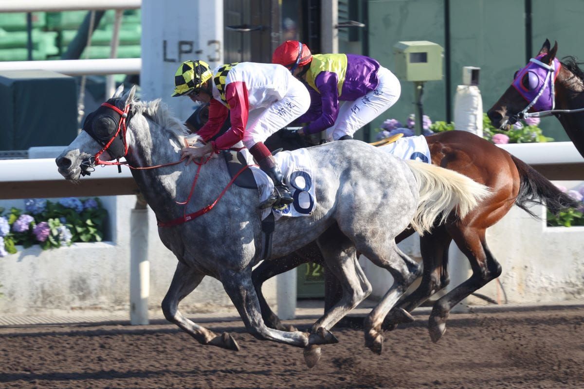 Reliable Profit bids to enhance dirt course standing