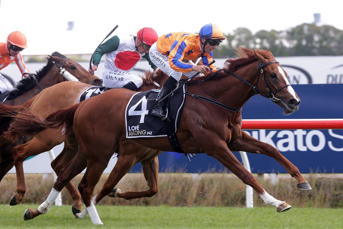 Stackhouse Eyes Wild Night Success