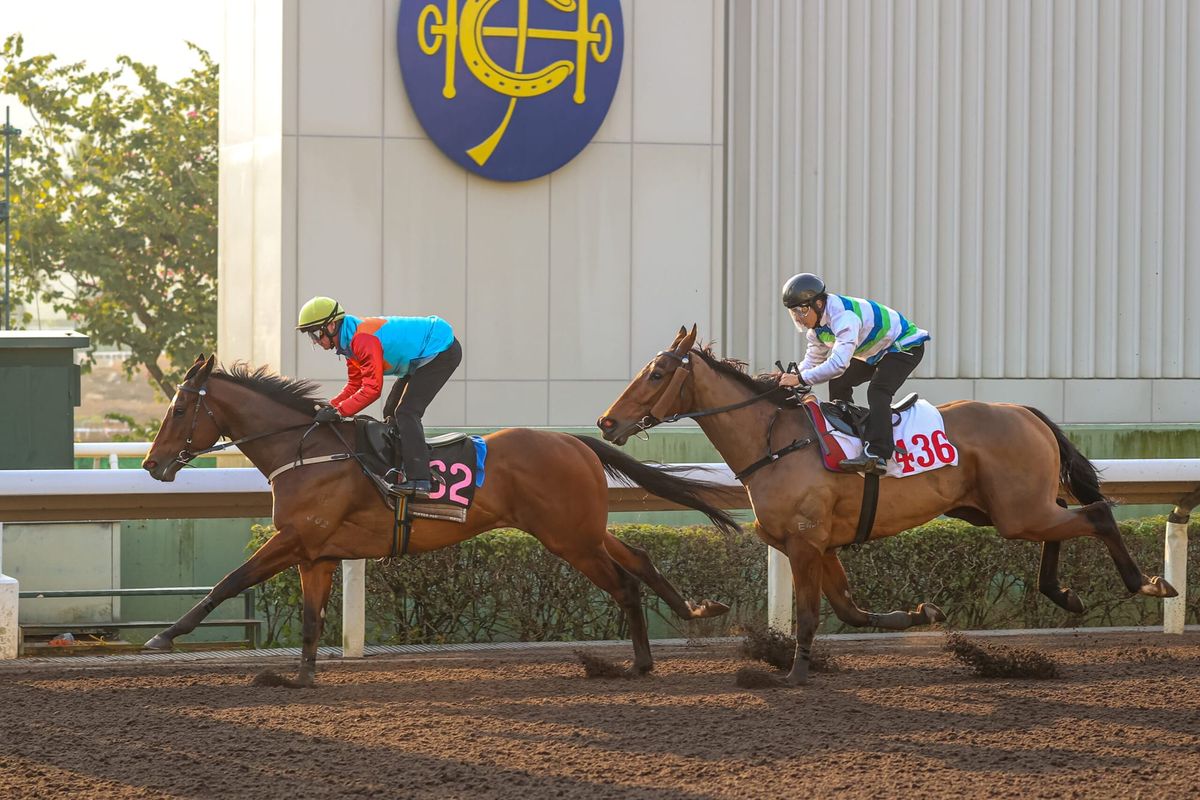 Ka Ying Rising on target for G1 Centenary Sprint Cup after Sha Tin trial win