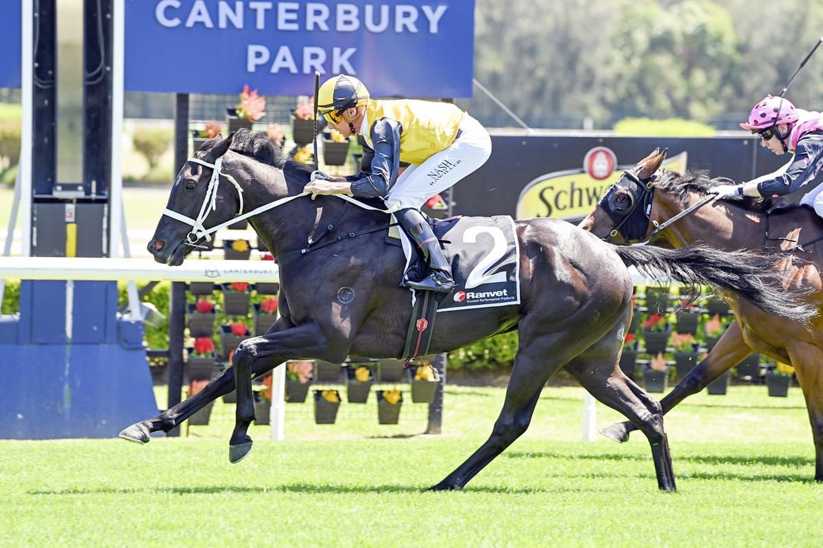 Sounds Unusual shows promise at Canterbury