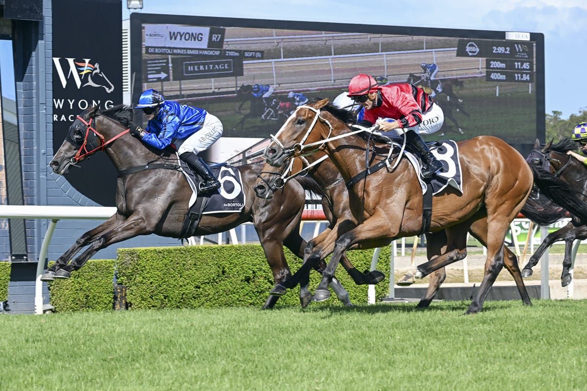 Australia Day Cup target for Bullets High