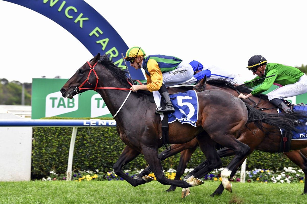 Ceolwulf Dominates Trial Against Top Rivals