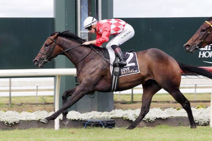 NZB Kiwi Slot Decision Dealt With