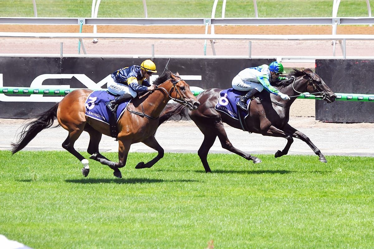 Flemington success for Dream All Day