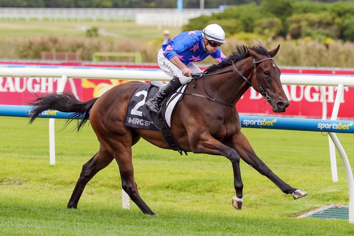 Feroce Primed for Guineas Challenge