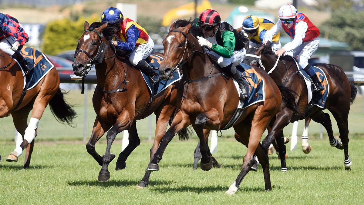 Son of Sun Sparkles in Queen Elizabeth