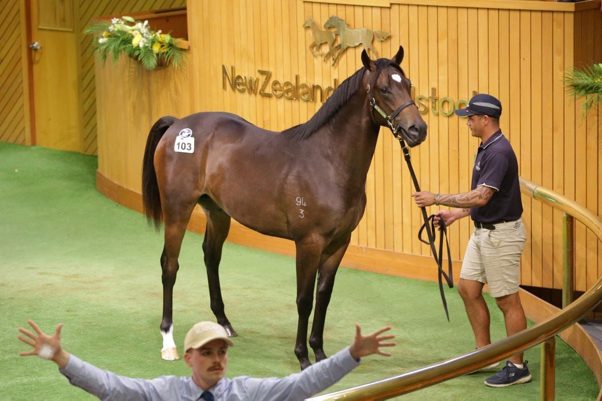 Wootton Bassett in vogue at Karaka