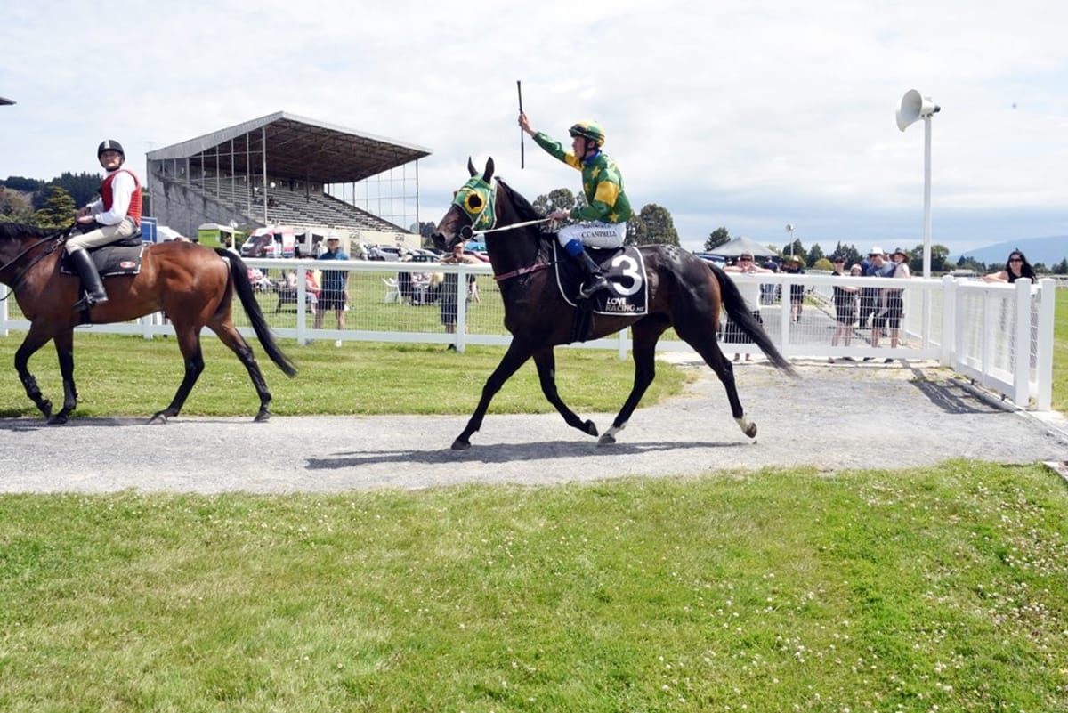 Mayor Of Norwood claims Waikouaiti Cup