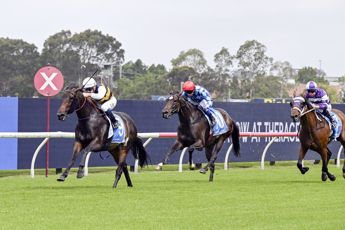 Slot holders sniffing around Sydney winner Perfumist
