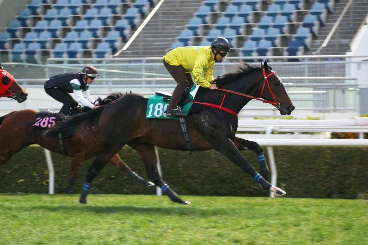 Lucky Sweynesse returns in trial