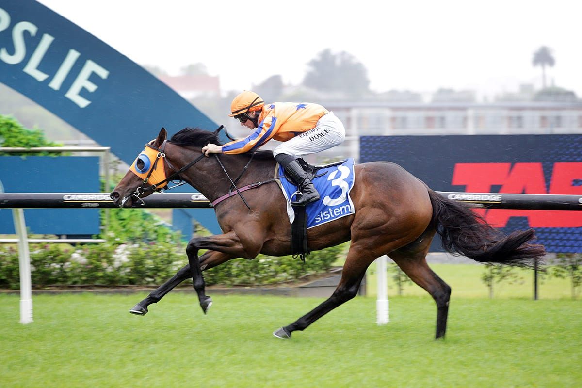 Qali Al Farrasha gets nod for Te Akau in feature mile