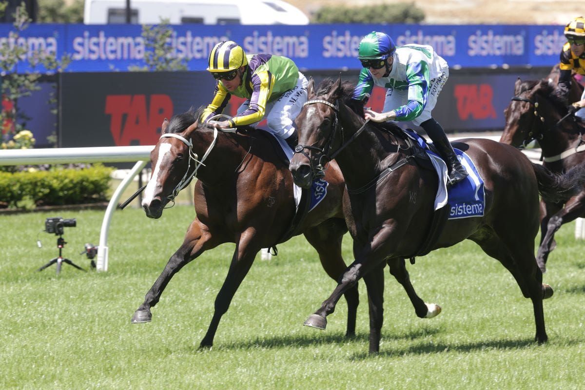 Winning Ellerslie rehearsal for NZB Kiwi contender