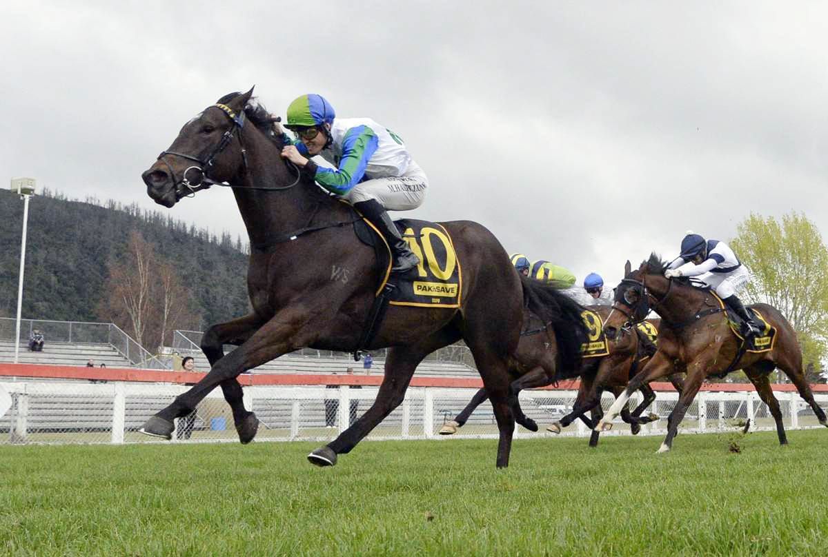 Wexford Stable Thrives with Talented 3YOs
