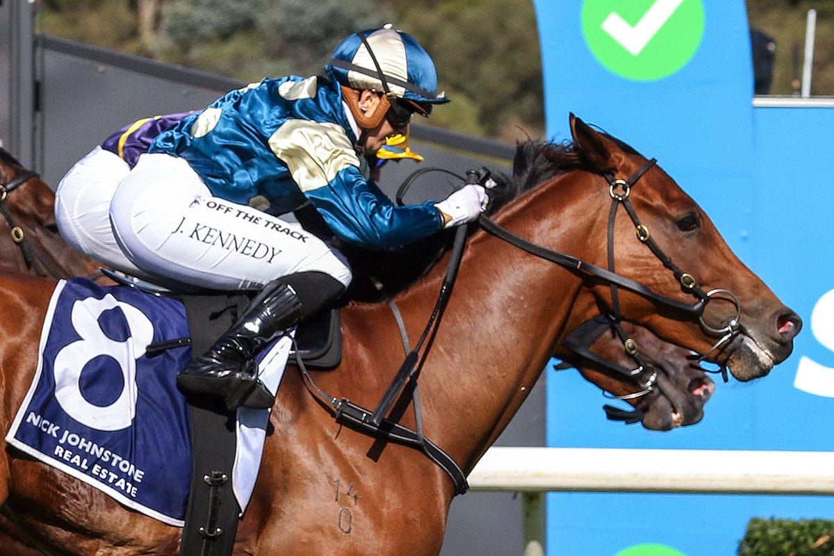 Sunshineinmypocket makes winning return