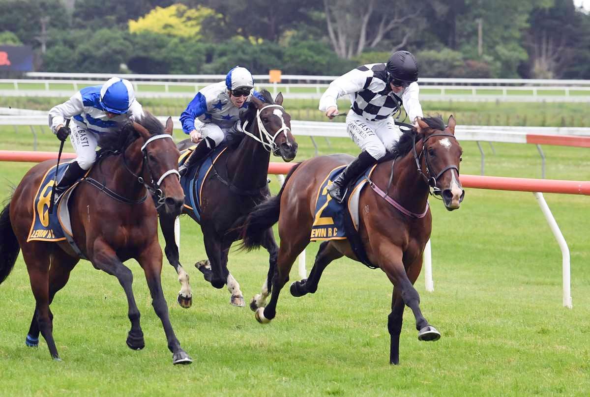 Ritchie Snaps Up Well-Bred Colt