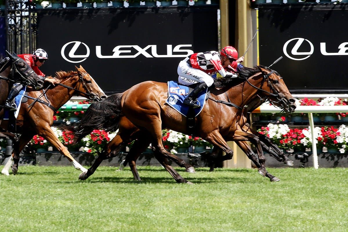 Zambezi Khan too strong at Flemington
