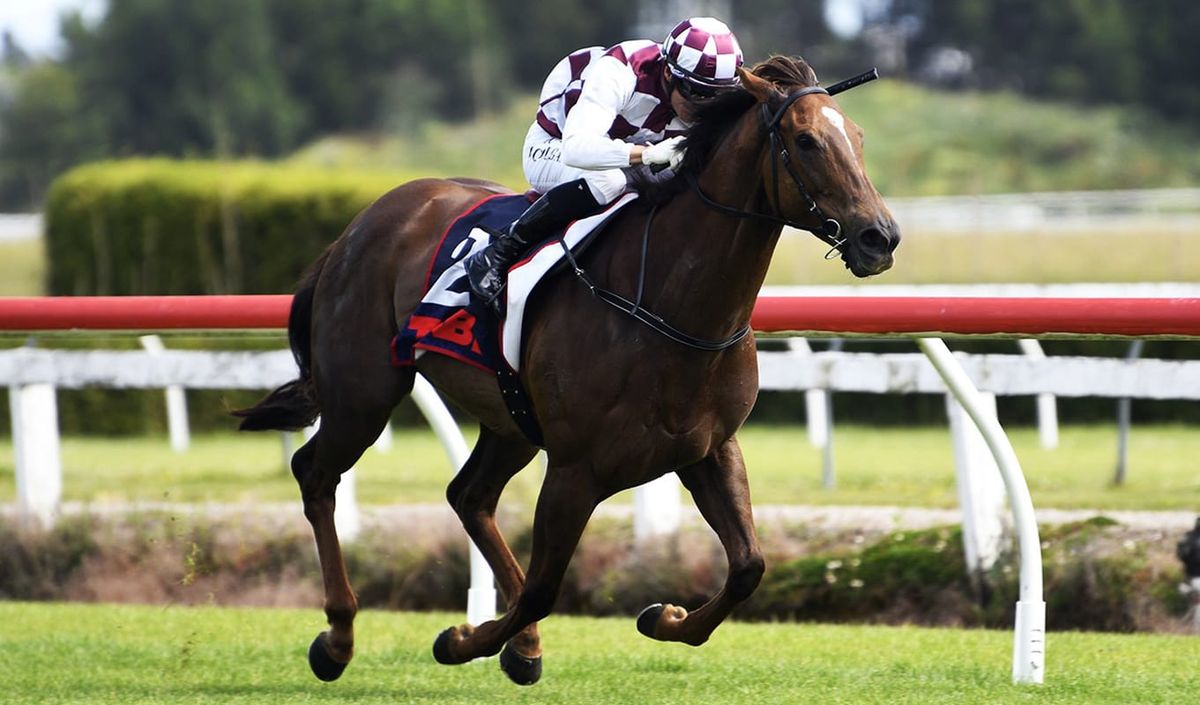 Top mare chasing fairytale Group One outcome