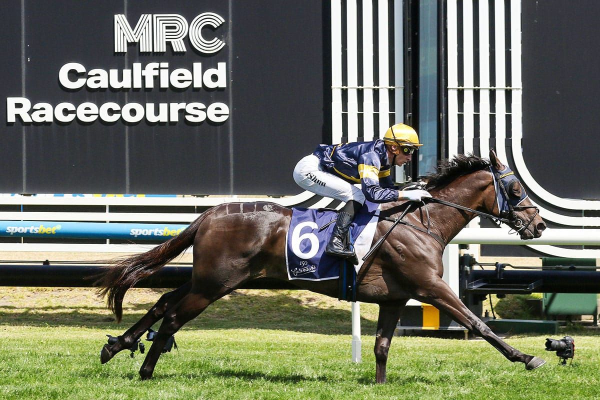 Group One target for Classy Coeur Volante