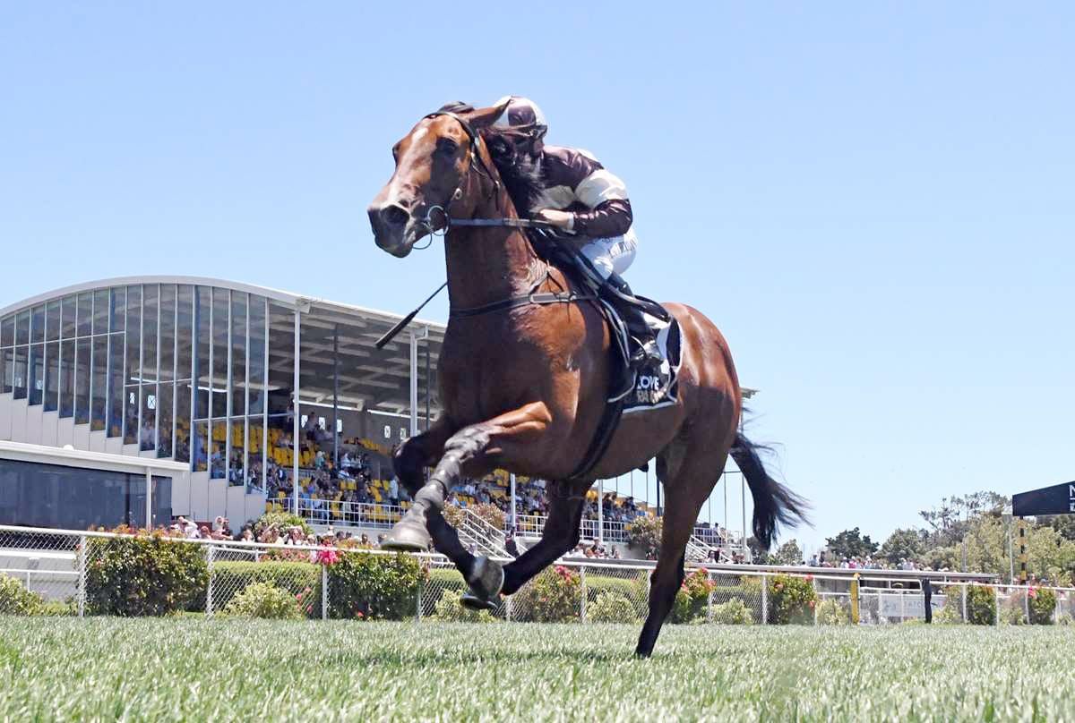 Trainer Seeks Change of Fortune with Talented 2YO