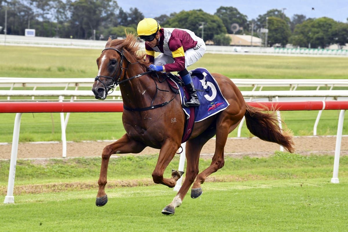 Gelded Linebacker primed for Eskimo Prince challenge