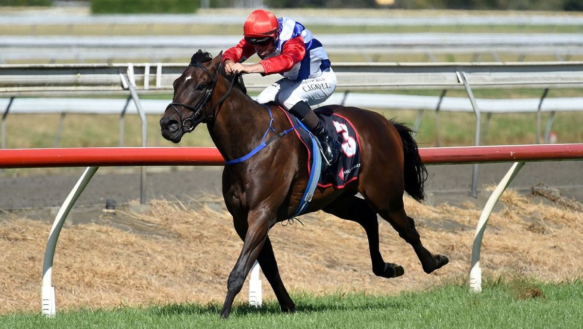 Wallbank’s pride and joy stars on home track
