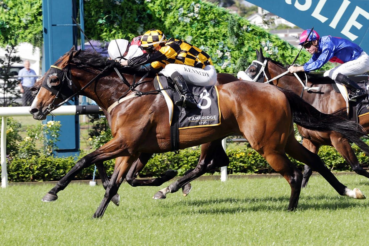 Top mare Snazzytavi sidelined by virus