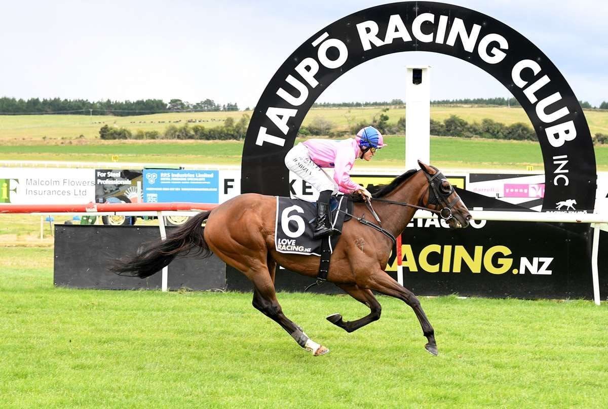 Sugah Sweet back for another shot at Breeders