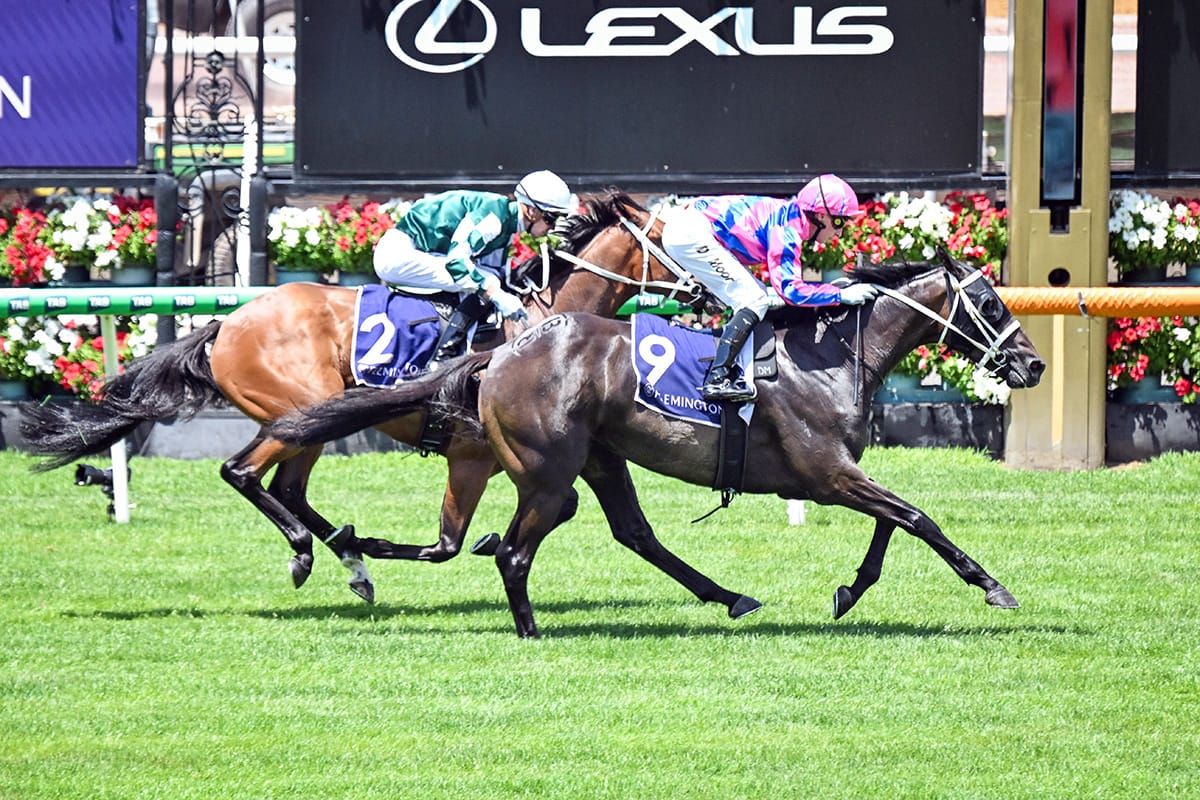 Expats Carving a New Path to the Derby