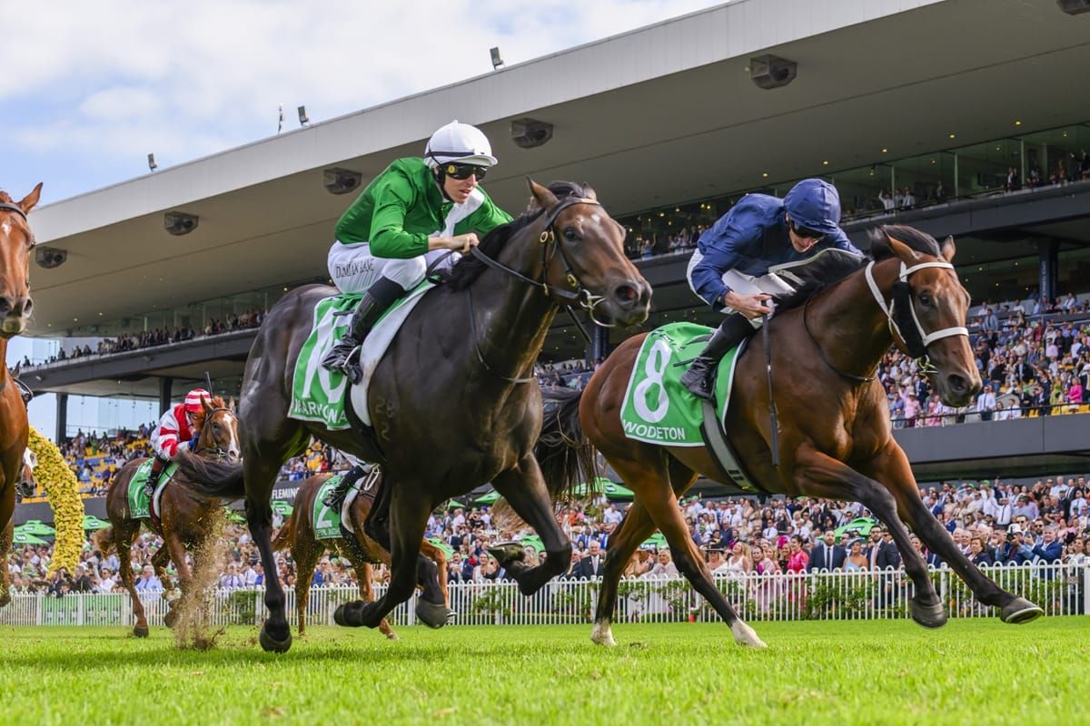 Hilal’s half-sister stars in Golden Slipper