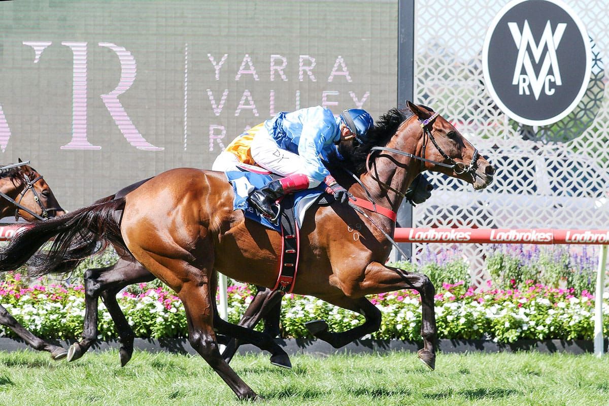 Rescheduled Cup a perfect fit for Basilinna