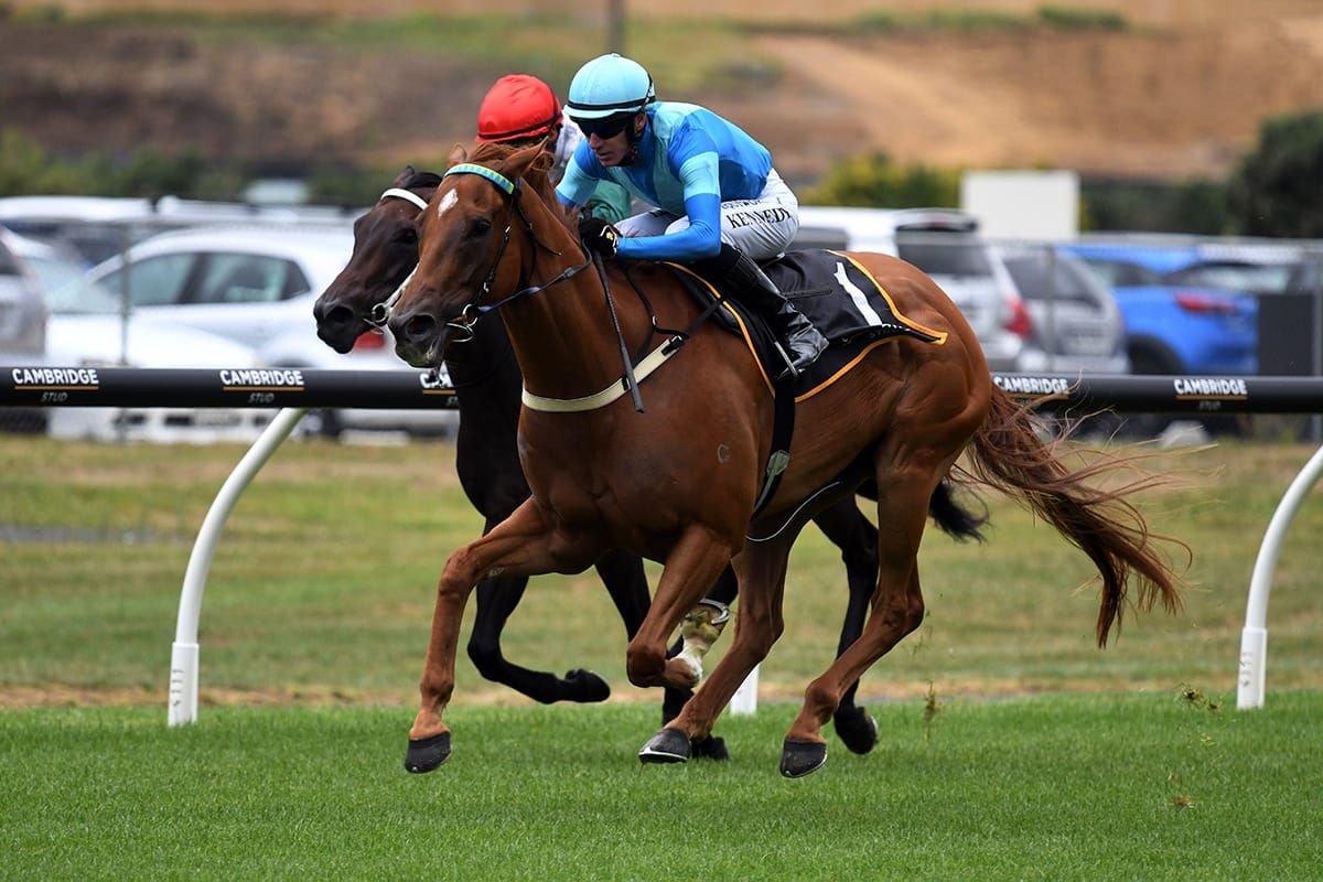 Crocetti to Take on Australia’s Best Sprinters in The Quokka