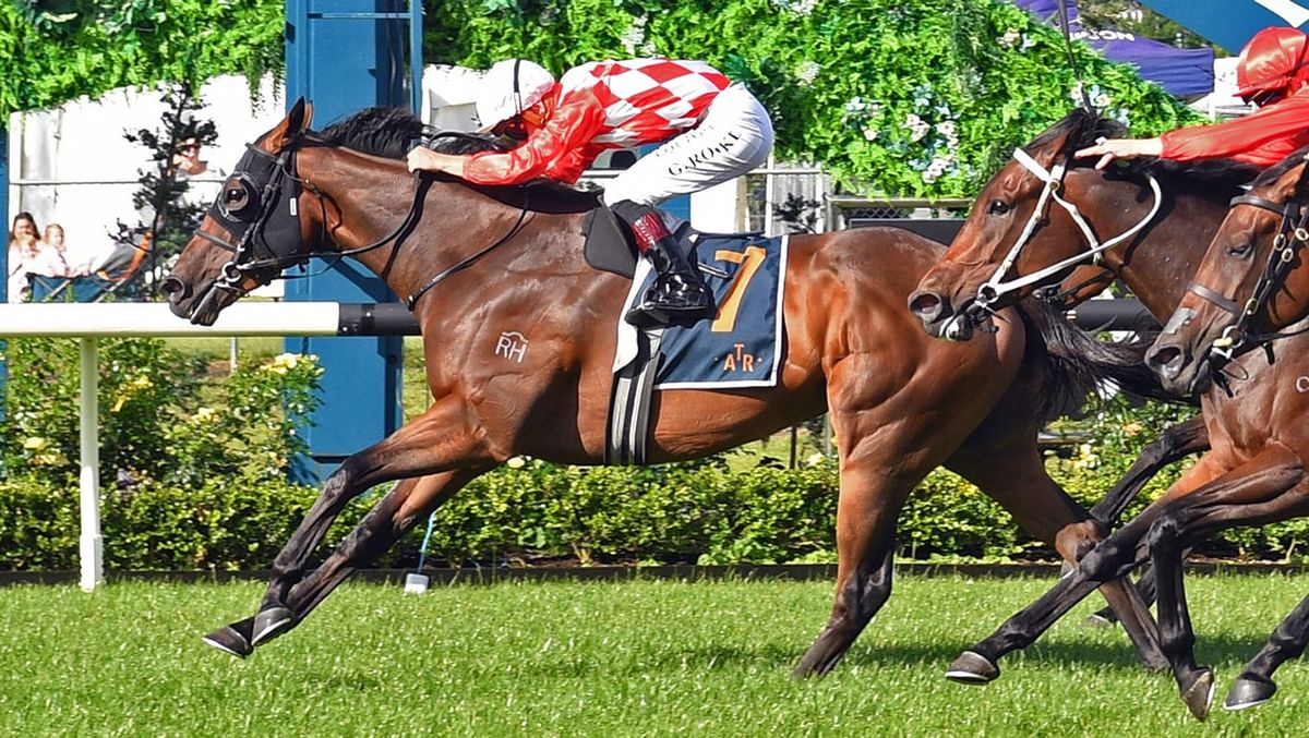 Hasstobeawinner Earns Shot at Group Two Glory