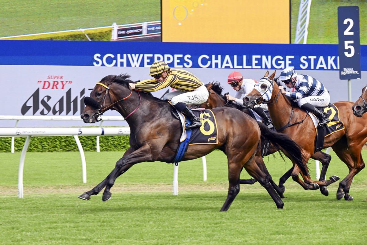 Fresh Jedibeel sparkles in Challenge Stakes