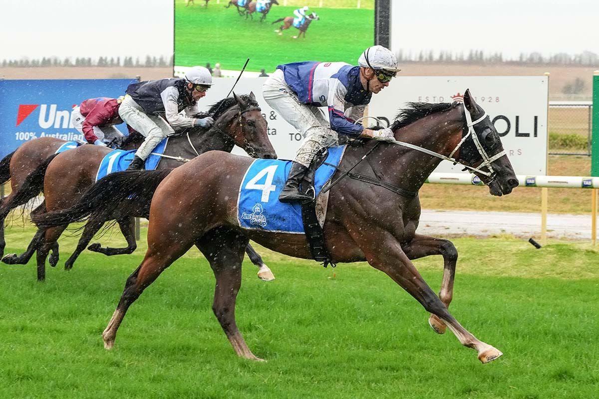 Go Racing launch trio of bright young stayers