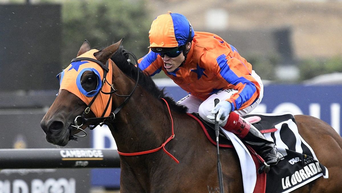 La Dorada Leads Te Akau’s Sires’ Produce Bid