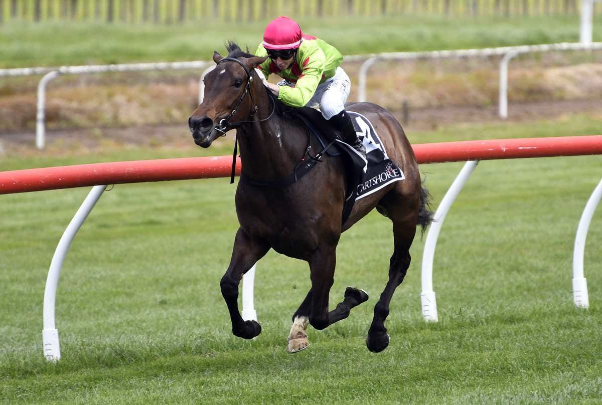 Oaks Contender Progressing Well in Focused Preparation