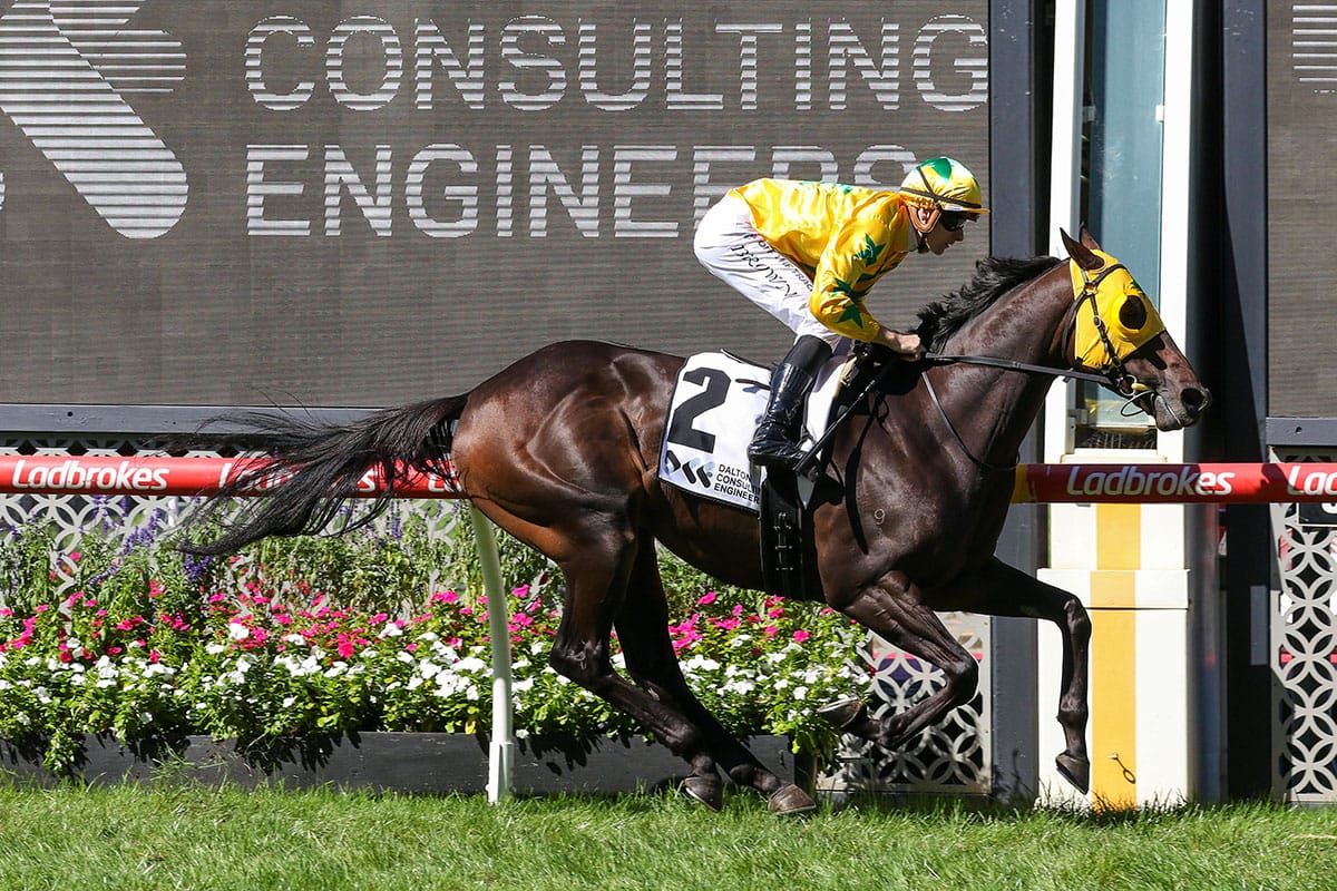 Four in a row for Hong Kong-bound Shanwah