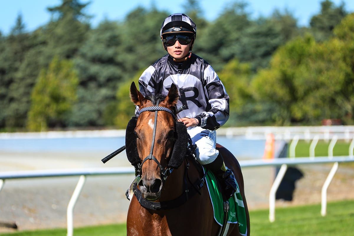 Southern venture pays dividends for Yuen