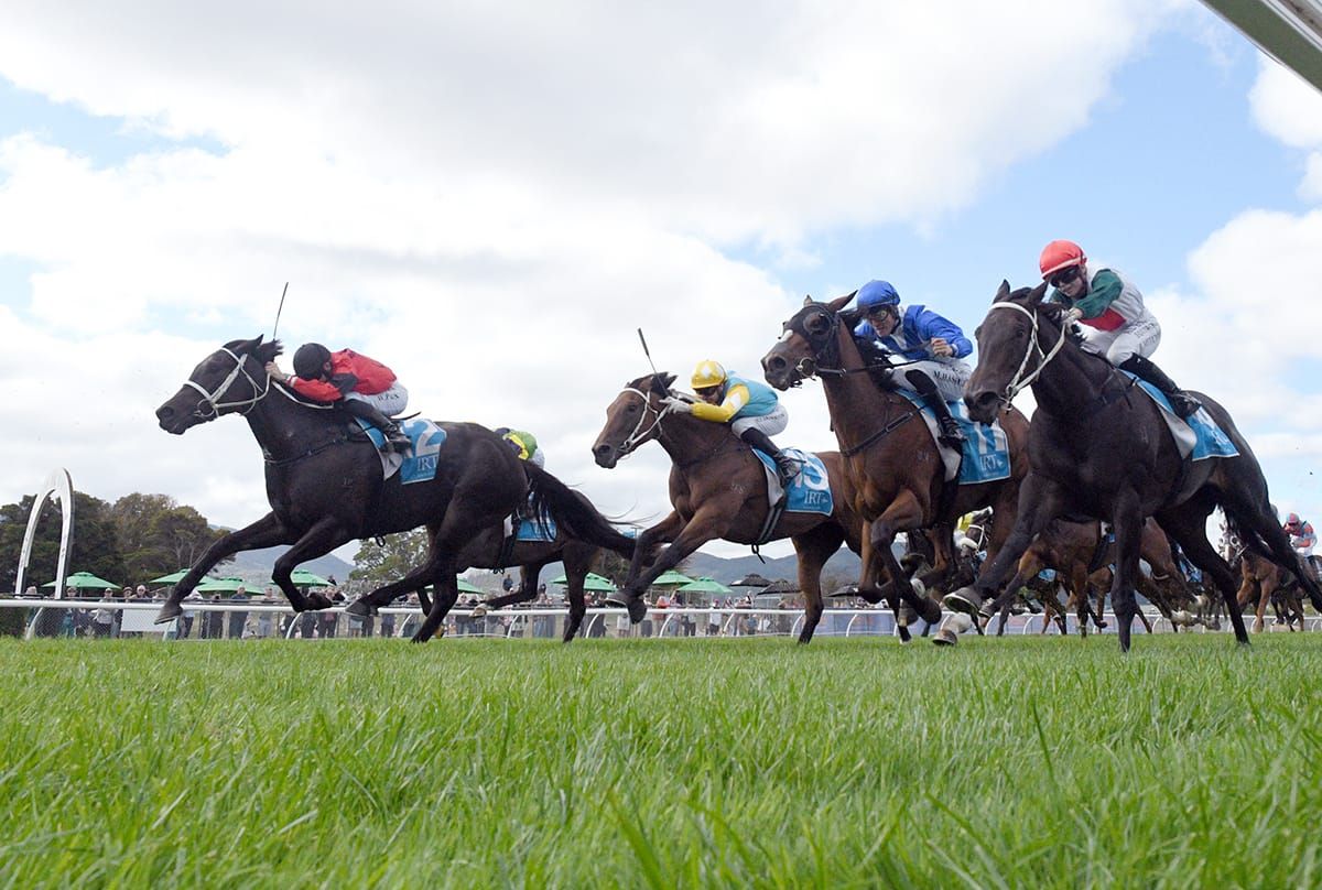 Vegas Queen upsets in Wellington Guineas