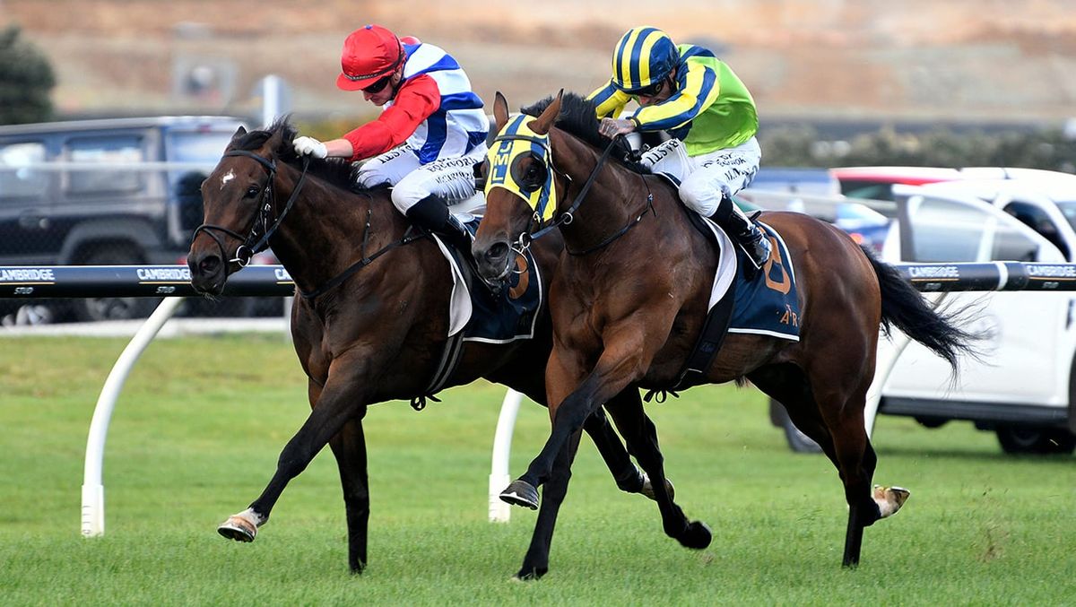 Sprint Distances Key to Yaldi's Performance