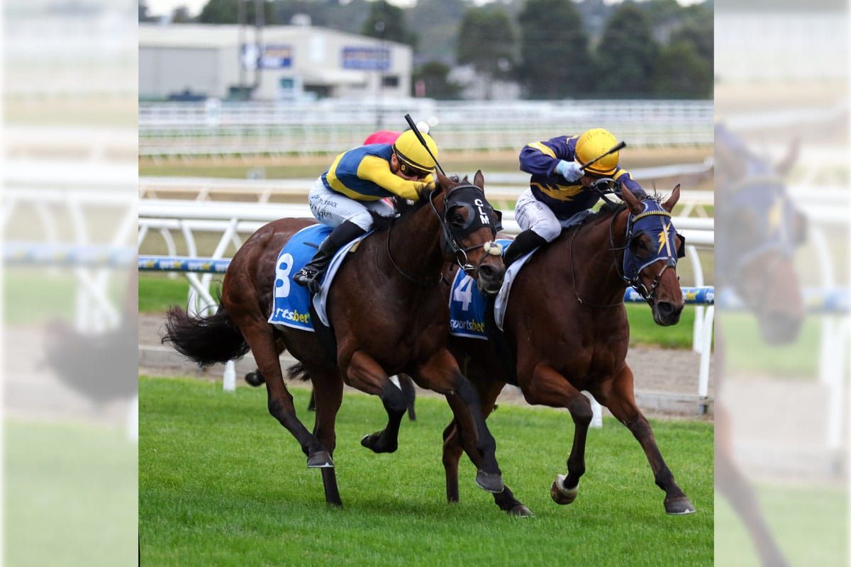 Bankers Choice stars with Mornington Cup victory